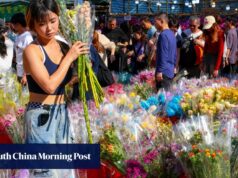 As flores que desabrocham no início do tempo quente aumentam a angústia dos vendedores nas feiras festivas.