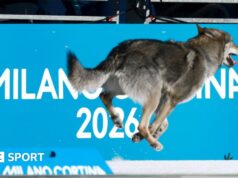 Jogos Olímpicos de Inverno de 2026: injeções penianas, trapaça de biatletas e brigas de curling – histórias que não esperávamos que fossem contadas.