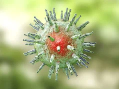 Cientistas descobrem o elo perdido entre o vírus Epstein-Barr e a esclerose múltipla