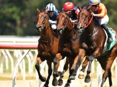 Perspectiva de gênero e conselhos para Wyong quinta-feira