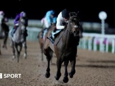 Constitution Hill: O ex-campeão vencedor da barreira brilha na mudança para o apartamento