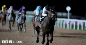 Constitution Hill: O ex-campeão vencedor da barreira brilha na mudança para o apartamento