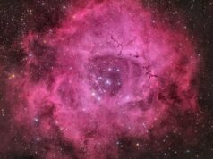 Sozinho neste Dia dos Namorados? Não se preocupe, o universo tem uma rosa para você (Foto)