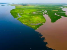 Os lagos de águas negras da Bacia do Congo liberam carbono antigo na atmosfera
