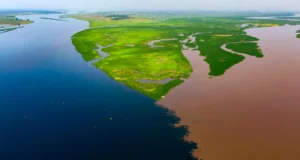 Os lagos de águas negras da Bacia do Congo liberam carbono antigo na atmosfera
