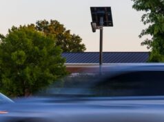 Câmeras que amam a validação e talvez tenham rebanho