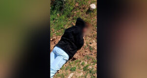 Colonos israelenses atacam violentamente ‘ativistas de solidariedade’ estrangeiros | Conflito israelo-palestiniano