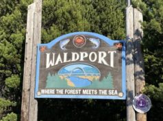 Avião de passageiro único cai no condado de Lincoln