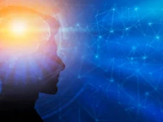 O desenvolvimento do cérebro pode levar até 30 anos, sugere uma nova pesquisa