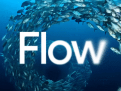 Autodesk processa Google pelo nome do criador de vídeos Flow AI