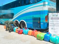 Descobriram mais de mil quilos de folhas de coca e prenderam duas pessoas de Salta