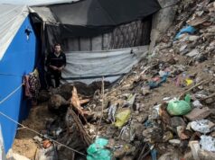 ‘Ratos atropelando-nos’: deslocados internos de Gaza forçados a viver em terras infectadas | Conflito israelo-palestiniano