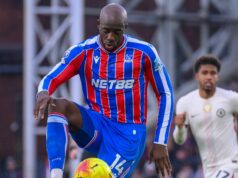 Crystal Palace Stars é a melhor contratação desde o meta