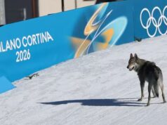 Milão-Cortina 2026: 5 curiosidades que marcam o coração dos Jogos Olímpicos de Inverno