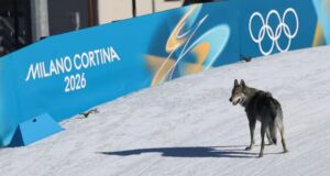 Milão-Cortina 2026: 5 curiosidades que marcam o coração dos Jogos Olímpicos de Inverno