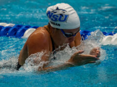 Nova Southeastern Chasing Quarto Título (Folhas Psicológicas)