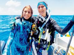 A maior colônia de corais do mundo foi encontrada na Austrália por cientistas cidadãos