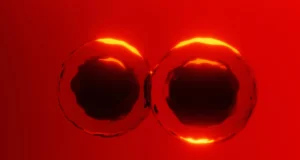 Os livros didáticos estão sendo desafiados por novas descobertas sobre como as células se dividem