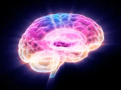 Cientistas descobriram uma proteína que rejuvenesce as células cerebrais envelhecidas