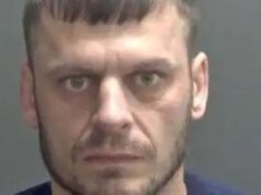 Motorista imigrante que matou mãe, padrasto e filha em acidente a 145 km/h enquanto estava sob o efeito de drogas é libertado