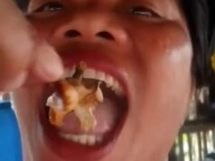 Influenciador alimentar morre após comer ‘caranguejo do diabo’ tóxico em manobra de mídia social enquanto um alerta urgente sobre criatura mortal é emitido