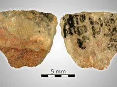 60.000 anos atrás, as pessoas já usavam flechas envenenadas