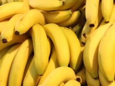 Metais tóxicos encontrados em bananas após desastre de mineração no Brasil