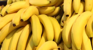 Metais tóxicos encontrados em bananas após desastre de mineração no Brasil