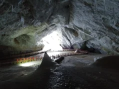 Congelada por 5.000 anos, esta bactéria da caverna de gelo resiste aos antibióticos modernos