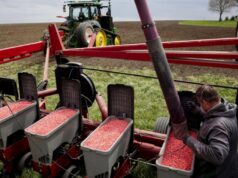 A semente do mistério da China é o seu ataque contínuo ao abastecimento de alimentos da América