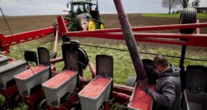 A semente do mistério da China é o seu ataque contínuo ao abastecimento de alimentos da América