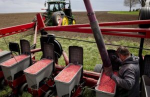 A semente do mistério da China é o seu ataque contínuo ao abastecimento de alimentos da América