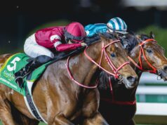 Forever Young se destaca mais uma vez na Copa da Arábia | Notícias de corrida