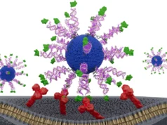Esta vacina contra o HPV reprojetada ensina as células T a caçar o câncer