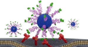Esta vacina contra o HPV reprojetada ensina as células T a caçar o câncer