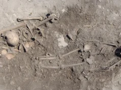 DNA antigo revelou o mistério de um enterro de 5.500 anos na Suécia