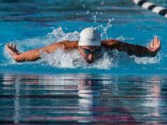 Michigan carrega as melhores sementes