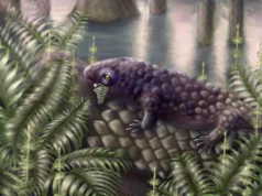 Este antigo animal foi um dos primeiros a começar a se alimentar de plantas em terra