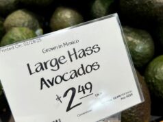 Líderes mundiais e empresas reagem a grandes mudanças tarifárias nos EUA