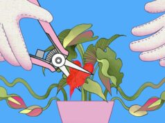 Abortei uma carreira na comédia. Ainda estou esperando pela profissão