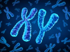 Por que o risco de doença cardíaca no diabetes tipo 2 difere entre homens e mulheres