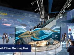 O Ocean Park de Hong Kong abrirá um novo centro de conservação contendo esqueletos de baleias