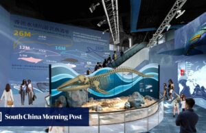 O Ocean Park de Hong Kong abrirá um novo centro de conservação contendo esqueletos de baleias