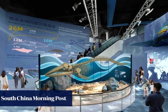 O Ocean Park de Hong Kong abrirá um novo centro de conservação contendo esqueletos de baleias