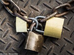 Novo Isa Fixo de Um Ano Best Buy foi lançado pela Investec faltando um mês para utilização da franquia