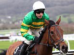 Sua folha de dicas para vencer os corretores de apostas no primeiro dia em Cheltenham, JP McManus definido para o sucesso no aniversário de Sir Anthony McCoy e no desafio da maratona: CHELTENHAM BREAKFAST