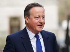 Vazamento de Greensill por agência governamental ‘para proteger David Cameron’
