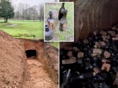 Um buraco em um campo de golfe revela uma adega do século XIX há muito perdida