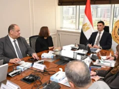 As discussões com a General Motors estão aumentando a competitividade da indústria automobilística no Egito