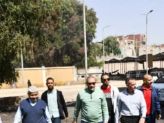 Avaliações de licenças para todas as lojas e oficinas no túnel na estrada para Aswan